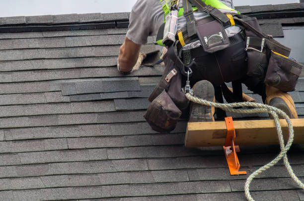 Best Roof Ventilation Installation  in Lakefield, MN